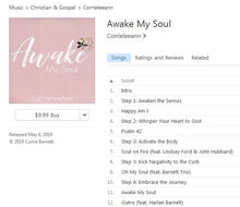 Load image into Gallery viewer, Awake My Soul Project
